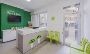 Veterinary Lawyers in Maryland and DC